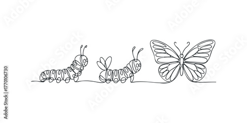 Caterpillar and Butterfly Continuous Line Drawing