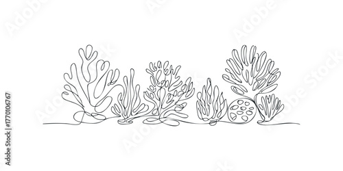 Continuous line drawing of various sea flora