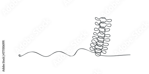 Single line drawing of a human spine segment
