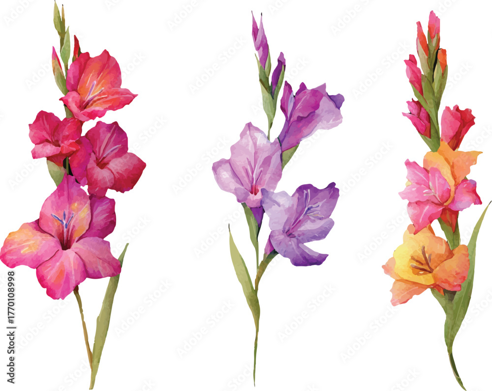 Obraz premium yellow pink and orange gladiolus flowers with leaves