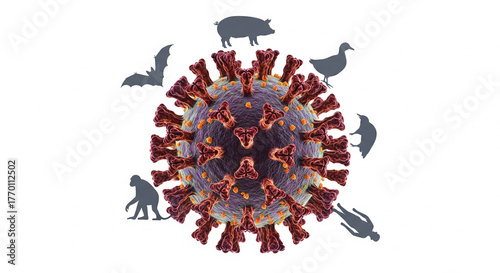 Understanding zoonotic diseases and the potential animal origins of viruses like coronavirus affecting humans, pigs, birds, and bats, a growing health concern