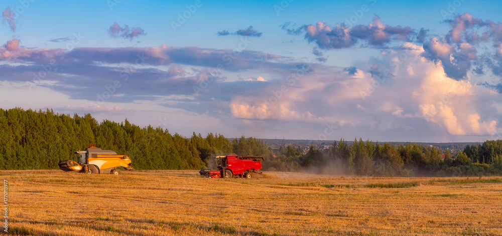 Fototapeta premium landscape with two combine autumn panorama