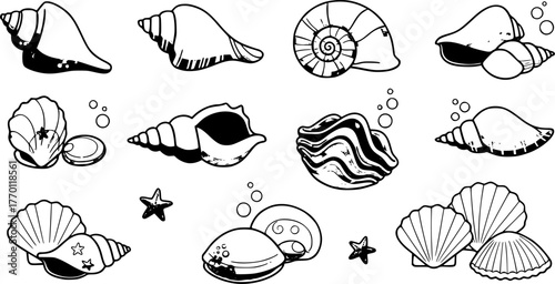 Cartoon seashells. Summer beach sea shells, underwater, ocean reef tropical shells. Marine beach shells decoration vector illustration set