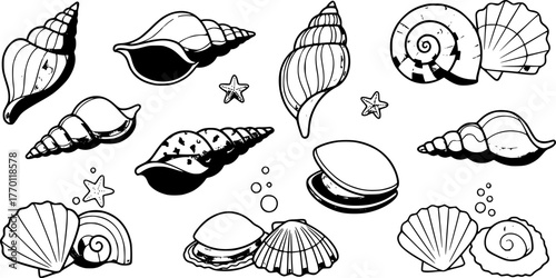 Cartoon seashells. Summer beach sea shells, underwater, ocean reef tropical shells. Marine beach shells decoration vector illustration set