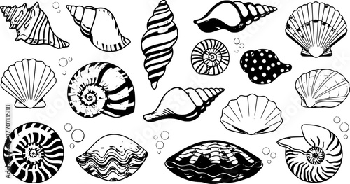 Cartoon seashells. Summer beach sea shells, underwater, ocean reef tropical shells. Marine beach shells decoration vector illustration set