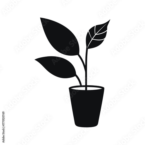 Minimal house plant leaf pot silhouette vector clean interior nature decor design on white background