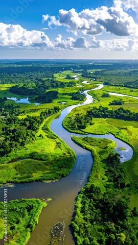 Winding river through lush greenery
