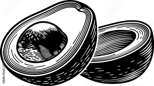 Illustration of two avocado halves with pit in black and white engraving style showing detail 100 characters on transparent background silhouette
