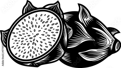 Illustration of a halved dragon fruit with seeds and a whole dragon fruit in black and white style on transparent background silhouette