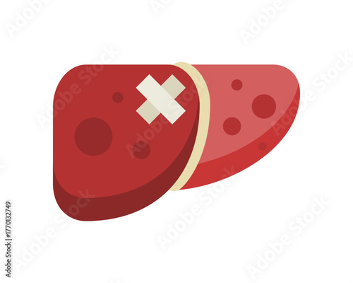 Liver disease medical with cross adhesive plaster tape icon flat vector design