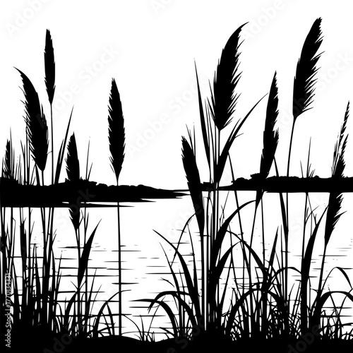 Silhouette of reeds and water landscape black and white nature scene art