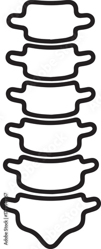 Vertebral Column (Spine)