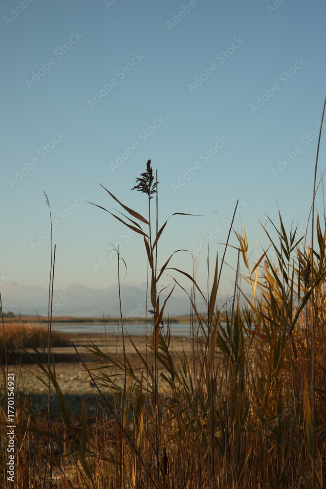 Fototapeta premium Natural Calmness and Healthy Lifestyle Inspiration