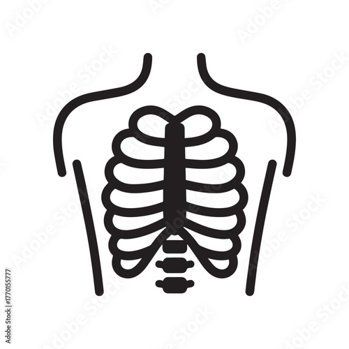 Silhouette Medical Diagram Showing The Bony Structure of the Chest and Upper Thoracic Spine. 