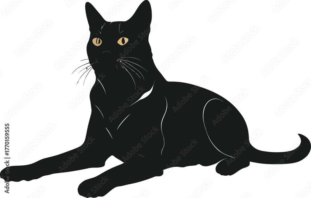 Fototapeta premium Black cat sitting on a white background with bright eyes