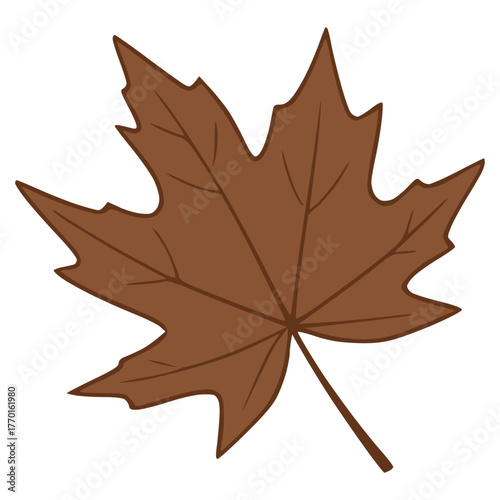 Simple brown dry maple leaf