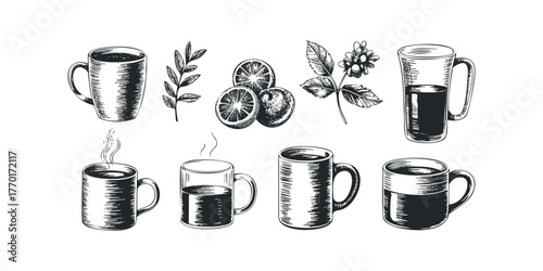 Collection of Hand Drawn Coffee Cups and Citrus Fruits
