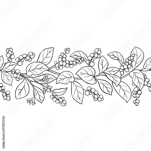 Schisandra Branch with Flowers, Berries and Leaves Outline Horizontal Seamless Pattern. Organic natural nutritional healthy food ingredient, vegetarian diet product. Vector isolated for design or deco