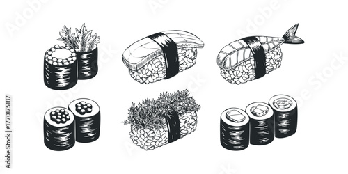 Various Sushi Rolls and Nigiri Dishes in Sketch Style