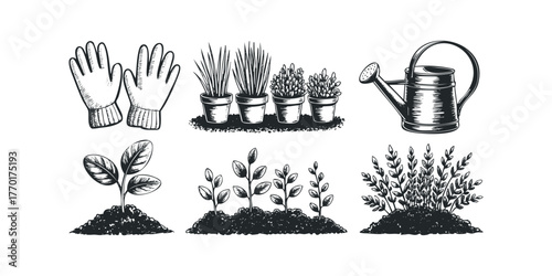 Gardening tools and plant growth stages