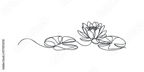 Continuous line drawing of water lily and pads
