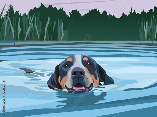 a dog is swimming in the pond