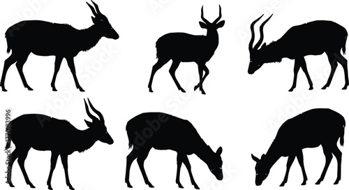 Antelope silhouette, African animal, grazing, walking, standing, wildlife illustration, horned mammal, nature pose, vector design, isolated black shape, fauna