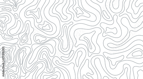 A seamless background features curving gray lines on a crisp white backdrop, forming a pattern reminiscent of topographic maps, ideal for modern abstract designs and textures