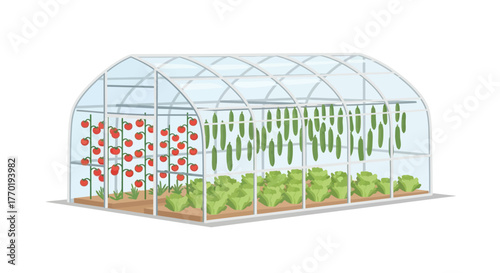 Fresh Produce Growing in a Greenhouse A Sustainable Farming Illustration