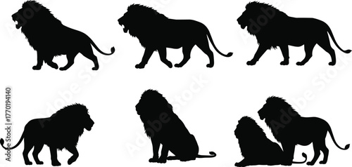 Lion silhouettes in various poses, walking, roaring, sitting — black vector illustrations for wildlife design, logos, and print media.