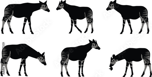 Okapi silhouettes, African wildlife, rare species, striped legs, giraffe relative, exotic mammal, nature illustration, safari art, animal poses, zoology design