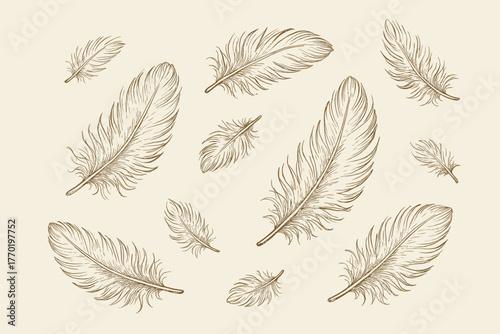 Contour indicating vector simple down fluffiness sketch feathery scattered irregular soft feathers