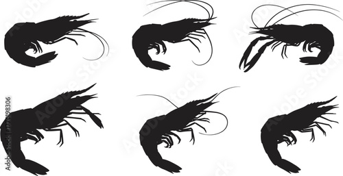 Shrimp silhouettes, crustacean vector illustration, marine life design, underwater animal art, sea creature graphic, ocean wildlife drawing, aquatic shellfish collection