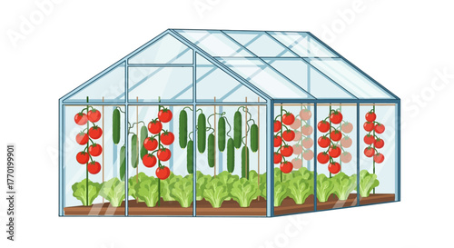 Detailed Illustration of a Modern Glass Greenhouse Cultivating Fresh Organic Vegetables and Leafy Greens for Sustainable Gardening Practices