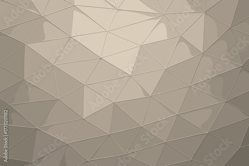 Illustration network polygon precision vector tessellated depth reflections tones elegant muted geometric