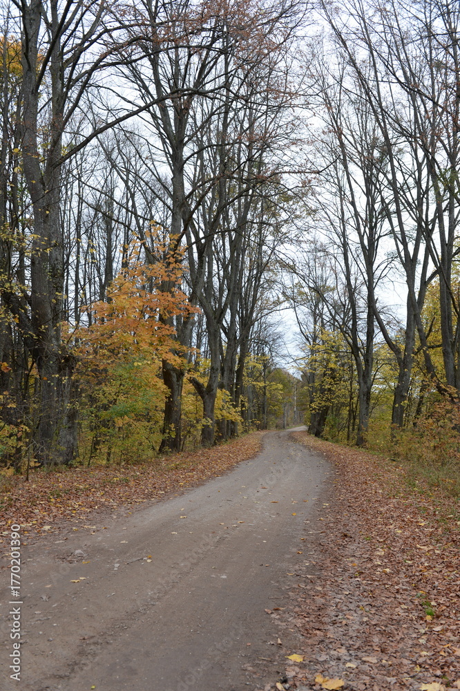 Naklejka premium The road near the Mazur Canal in the Kaliningrad region