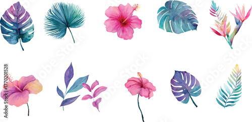set of colorful flowers