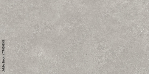Beautiful Grey Terrazzo marble stone texture.