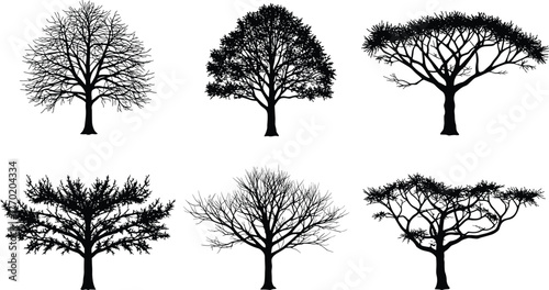 PrintSet of six detailed tree silhouettes, black vector illustration of deciduous and acacia trees on white background, natural forest design art