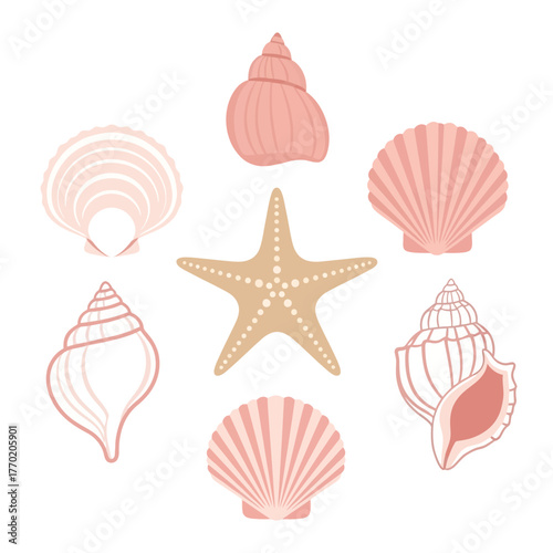 A collection of various pink and beige seashells and a starfish arranged on a white background, depicting marine life elements.