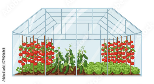 Greenhouse with Tomatoes, Cucumbers, and Lettuce Growing Inside