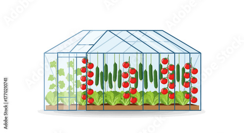 Fresh produce grown inside a modern greenhouse with rows of ripe tomatoes and lettuce