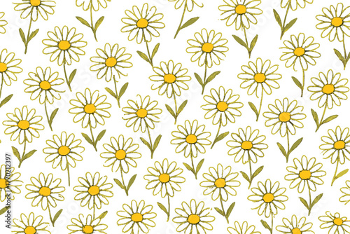 Random daisyfield giving vector scattered directions pattern illustration effect daisies floral organic