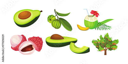 Fresh avocado, lychee, coconut drink, and exotic fruits displayed, perfect for healthy eating, tropical recipes, and food branding