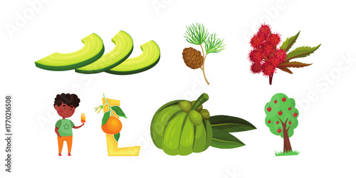 Vibrant Avocado, Pinecone, Red Berries, Orange, and Green Fruit with a child enjoying a popsicle, perfect for health and wellness content