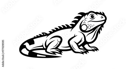 Detailed Black and White Illustration of a Regal Iguana.