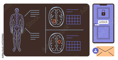 Human nervous system, brain scan comparison, lock and key metaphor, user profile, envelope. Ideal for neuroscience, data, problem-solving, medical research cognitive science security innovation