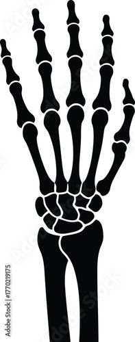 black skeleton hand bone anatomy clip art preview