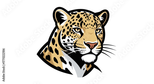 Detailed Jaguar Head Illustration with Distinctive Spot Pattern and Focused Gaze.