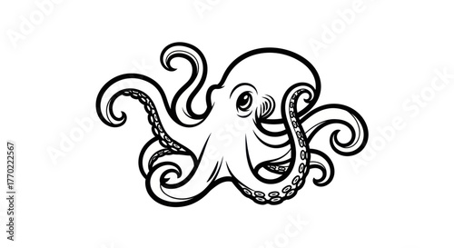 Detailed Line Art Octopus Illustration with Curled Tentacles.